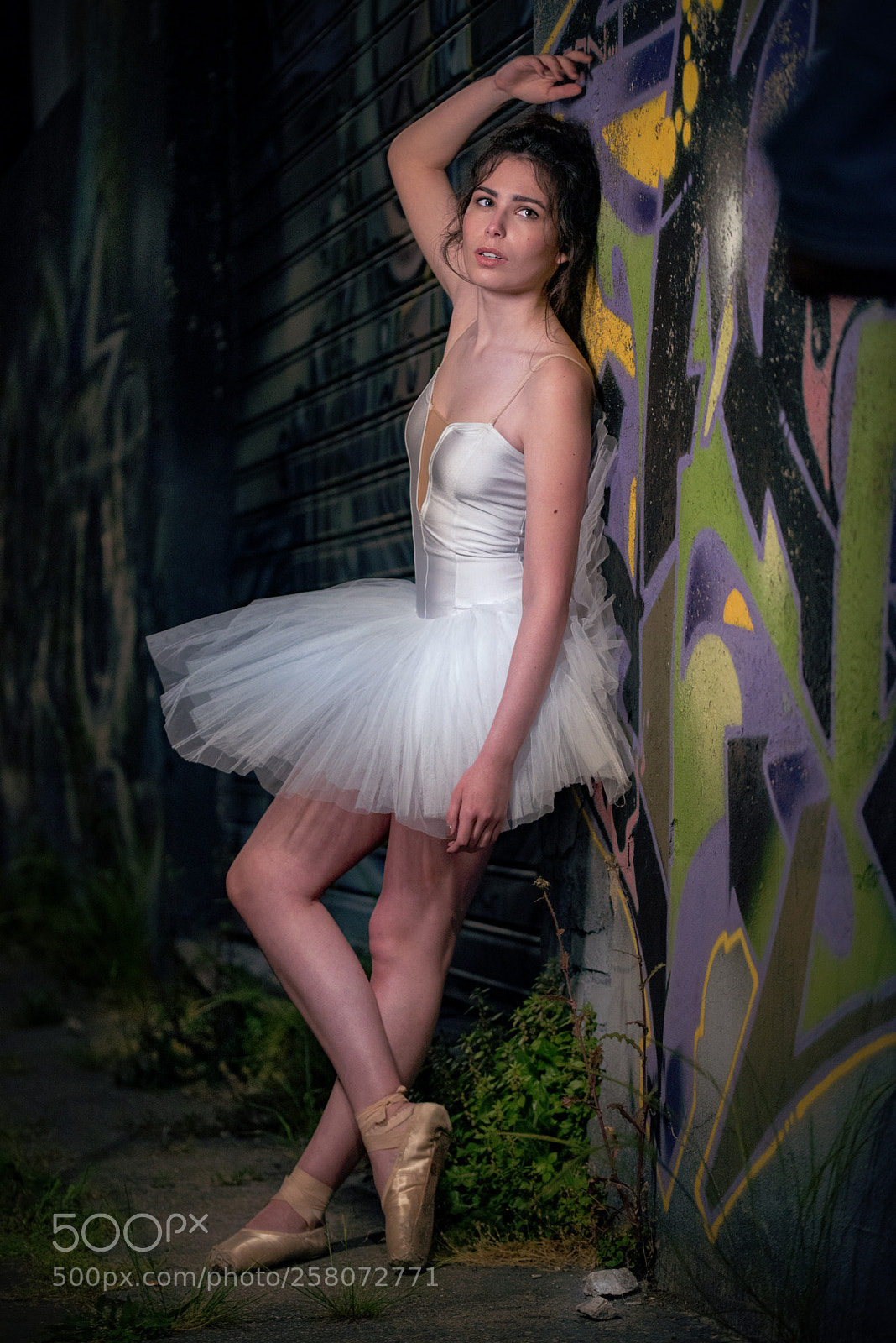 Nikon D750 sample photo. Restin' photography