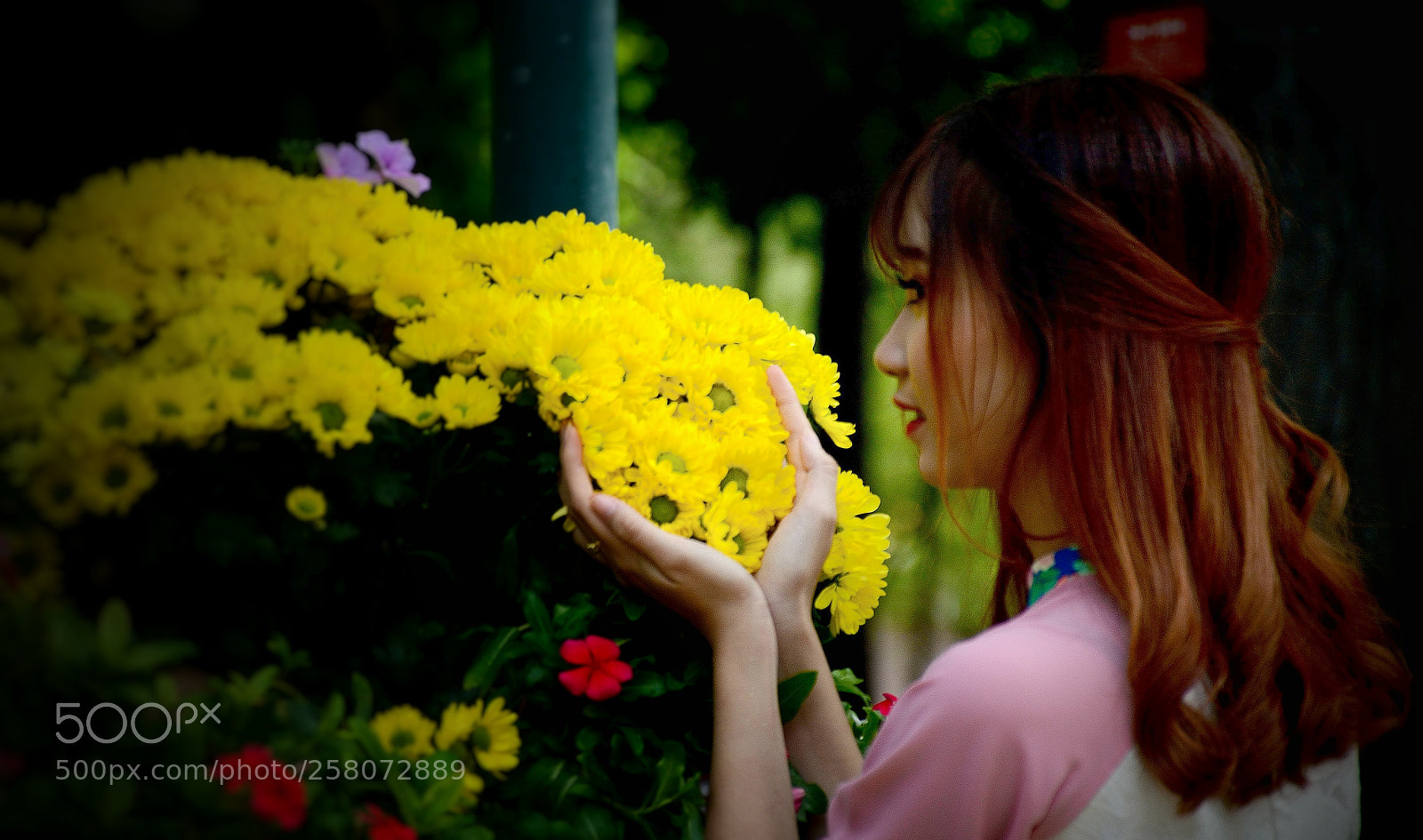 Nikon D3200 sample photo. Untitled photography