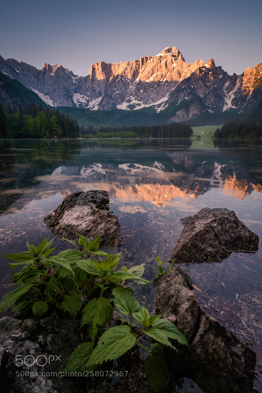 Nikon D750 sample photo. Alpine glow - and photography