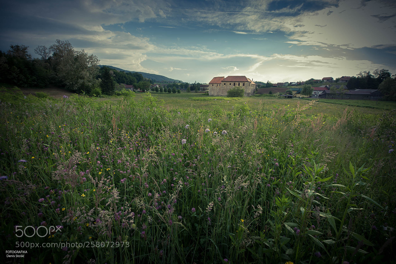 Nikon D750 sample photo. Ribnik castle photography