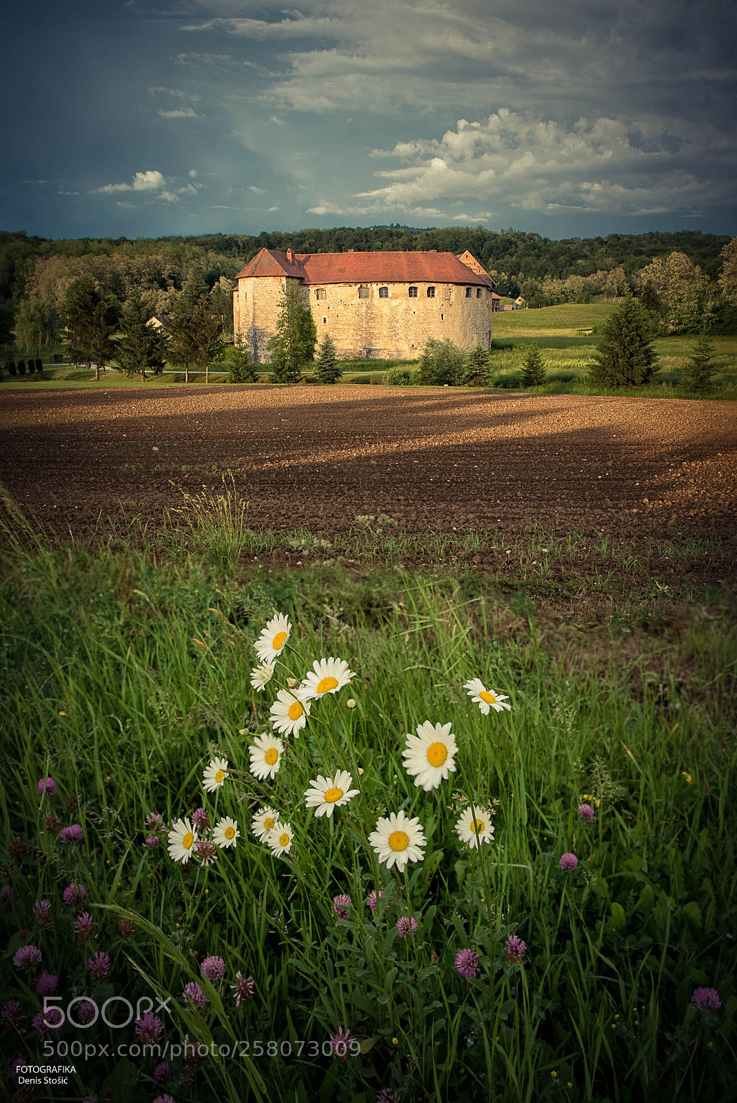 Nikon D750 sample photo. Ribnik castle photography