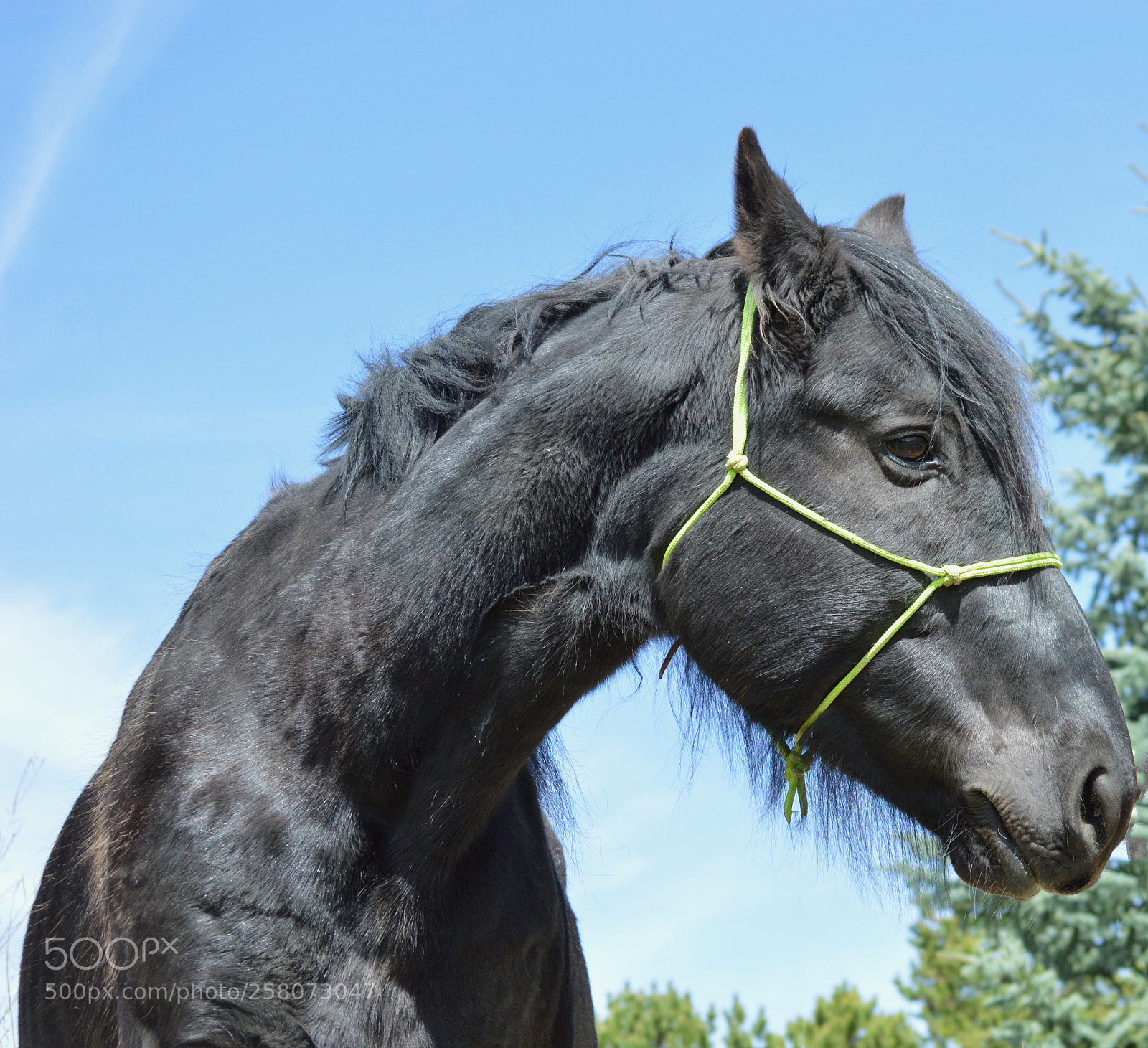 Nikon D3200 sample photo. I see you photography