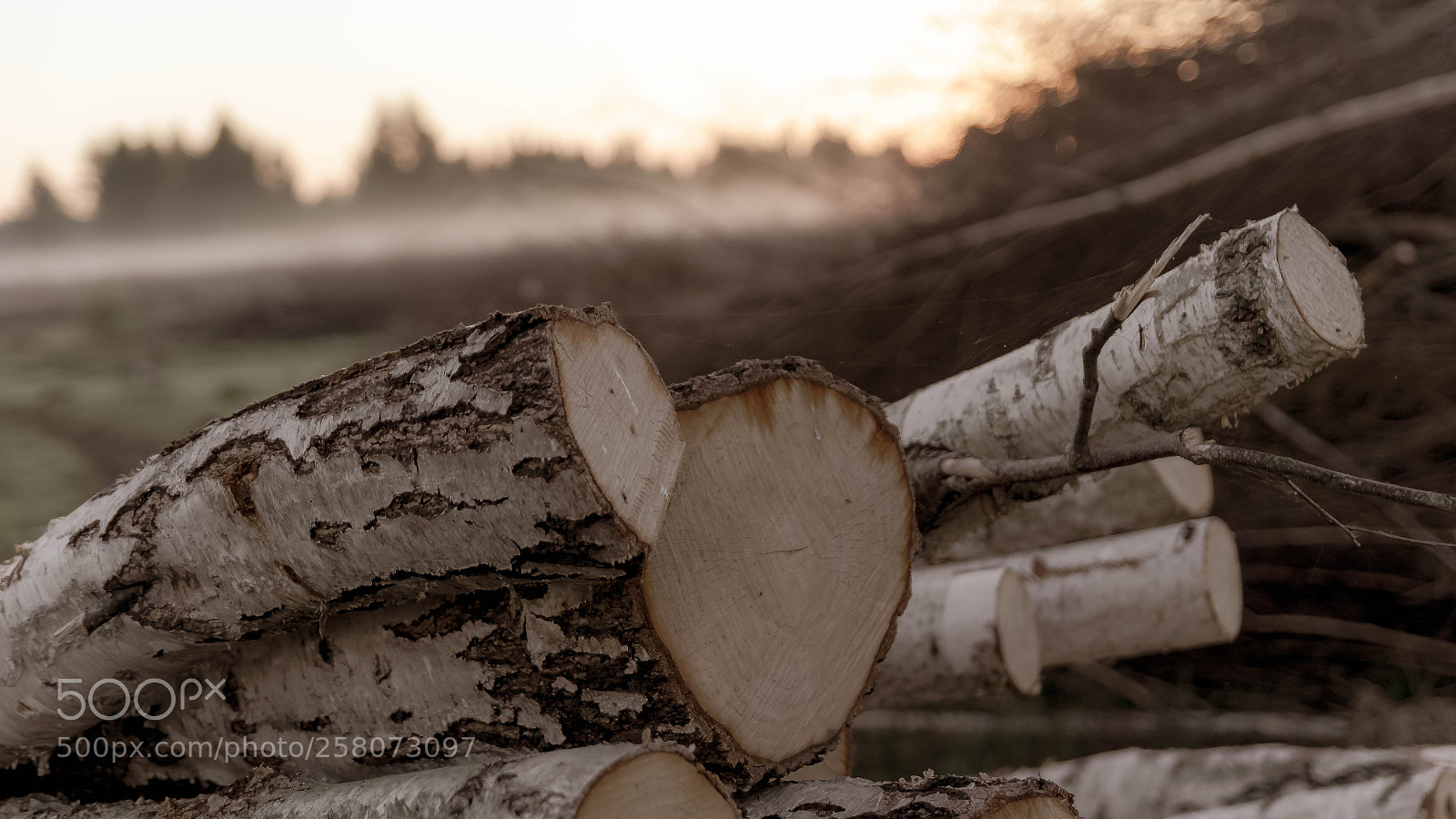 Nikon D5100 sample photo. Cemetery for... photography