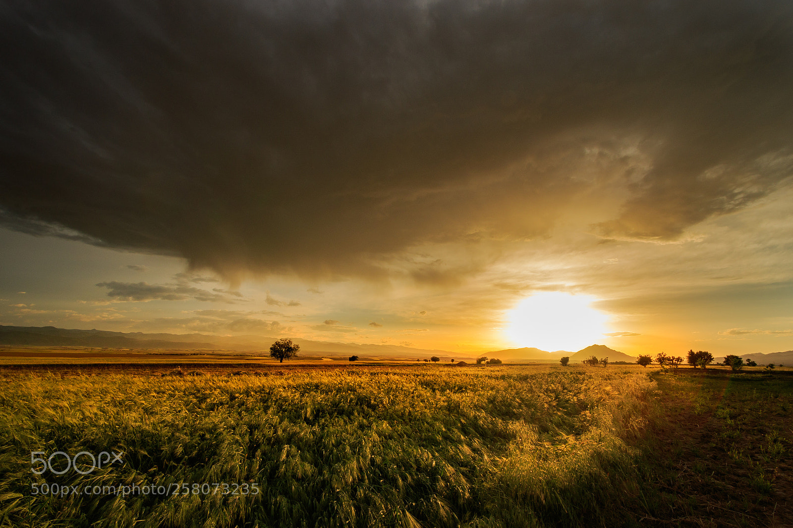 Canon EOS 7D Mark II sample photo. Sunset photography