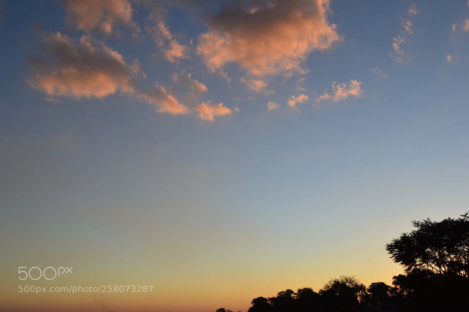 Nikon D3200 sample photo. Eventide photography