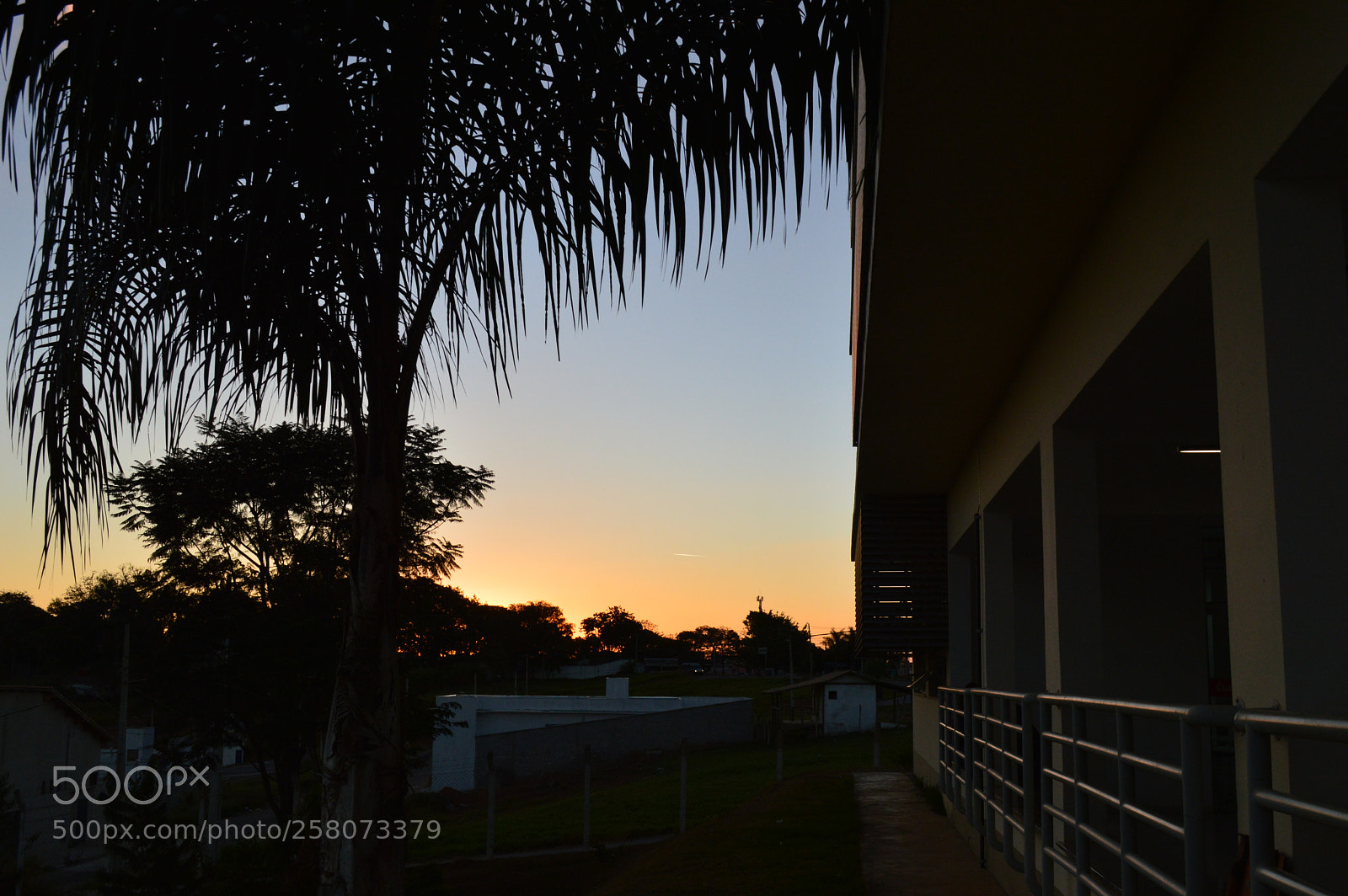 Nikon D3200 sample photo. Eventide photography