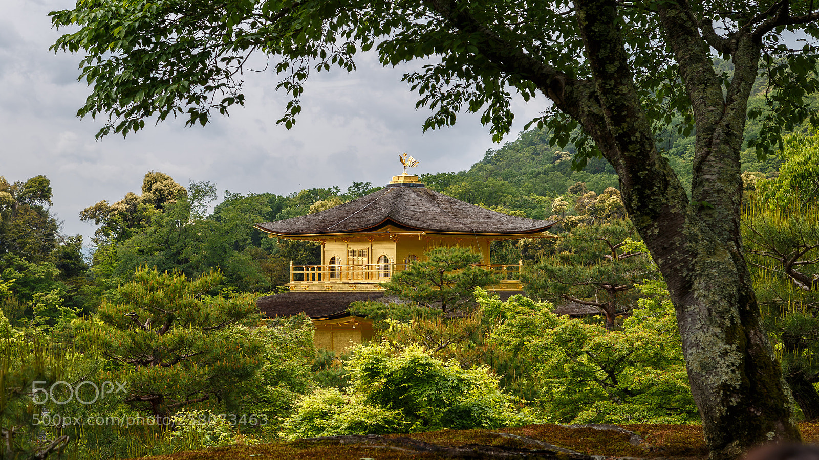 Canon EOS 6D sample photo. Golden temple photography