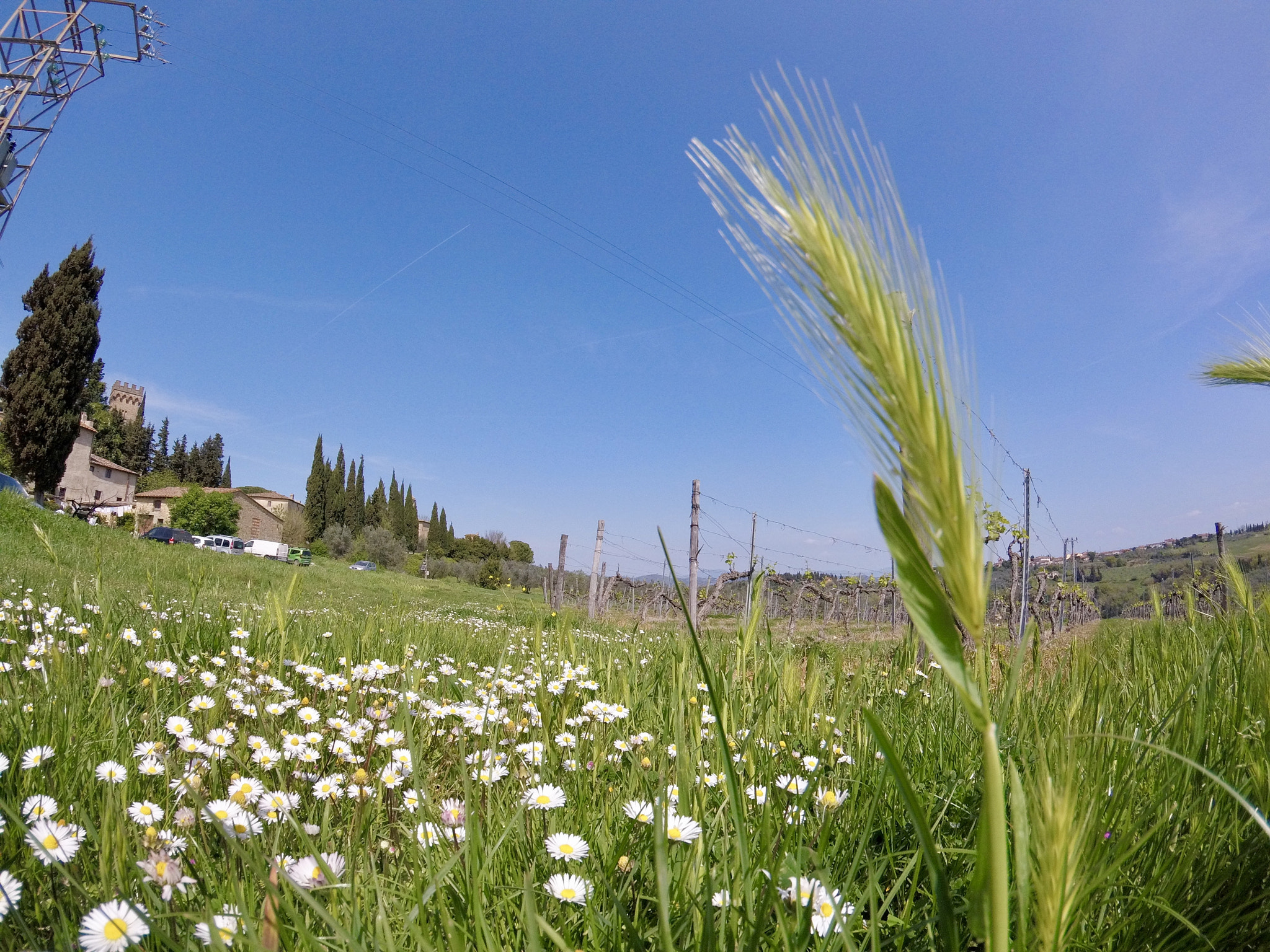 GoPro HERO5 Session sample photo. Dcim\100gopro\gopr1880.jpg photography