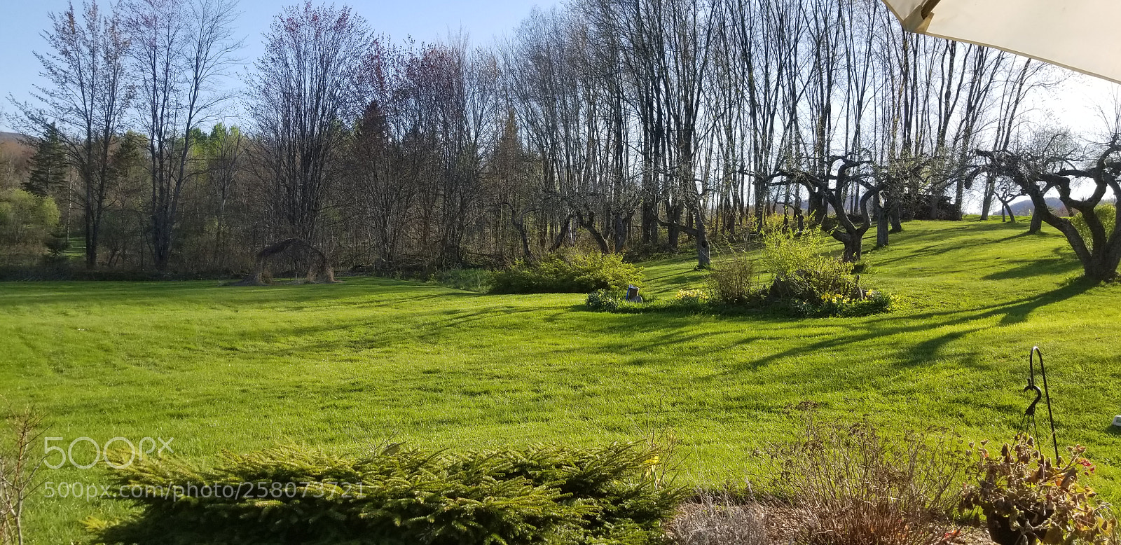 Samsung Galaxy S8 sample photo. Untitled photography
