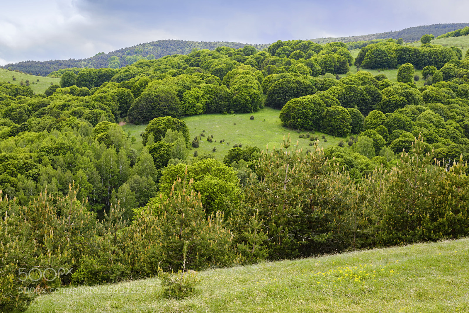 Nikon D610 sample photo. Vitosha mountain landscape photography