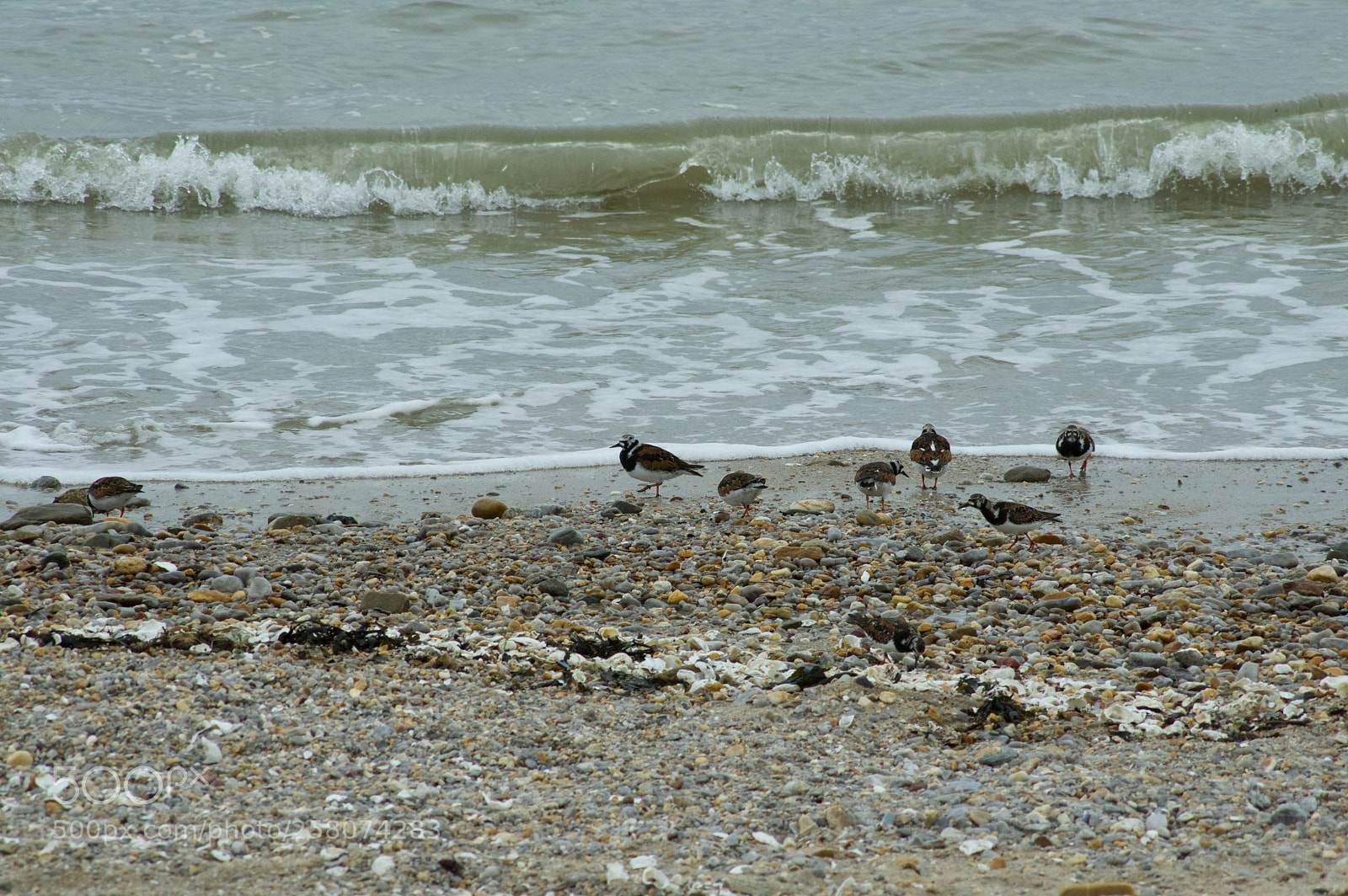 Pentax K-3 sample photo. Heure du repas photography