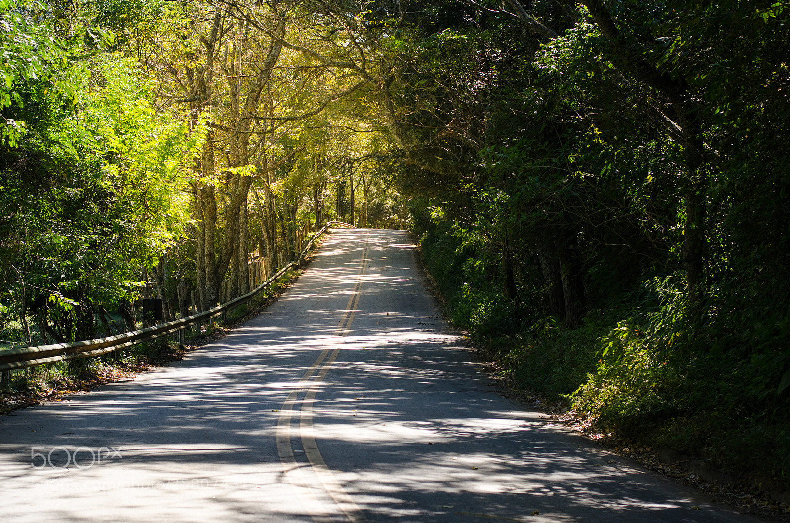 Nikon D7000 sample photo. Road photography