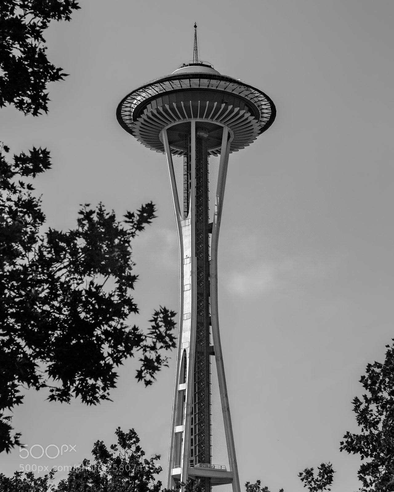 Sony a7R sample photo. Needle & the damage done photography
