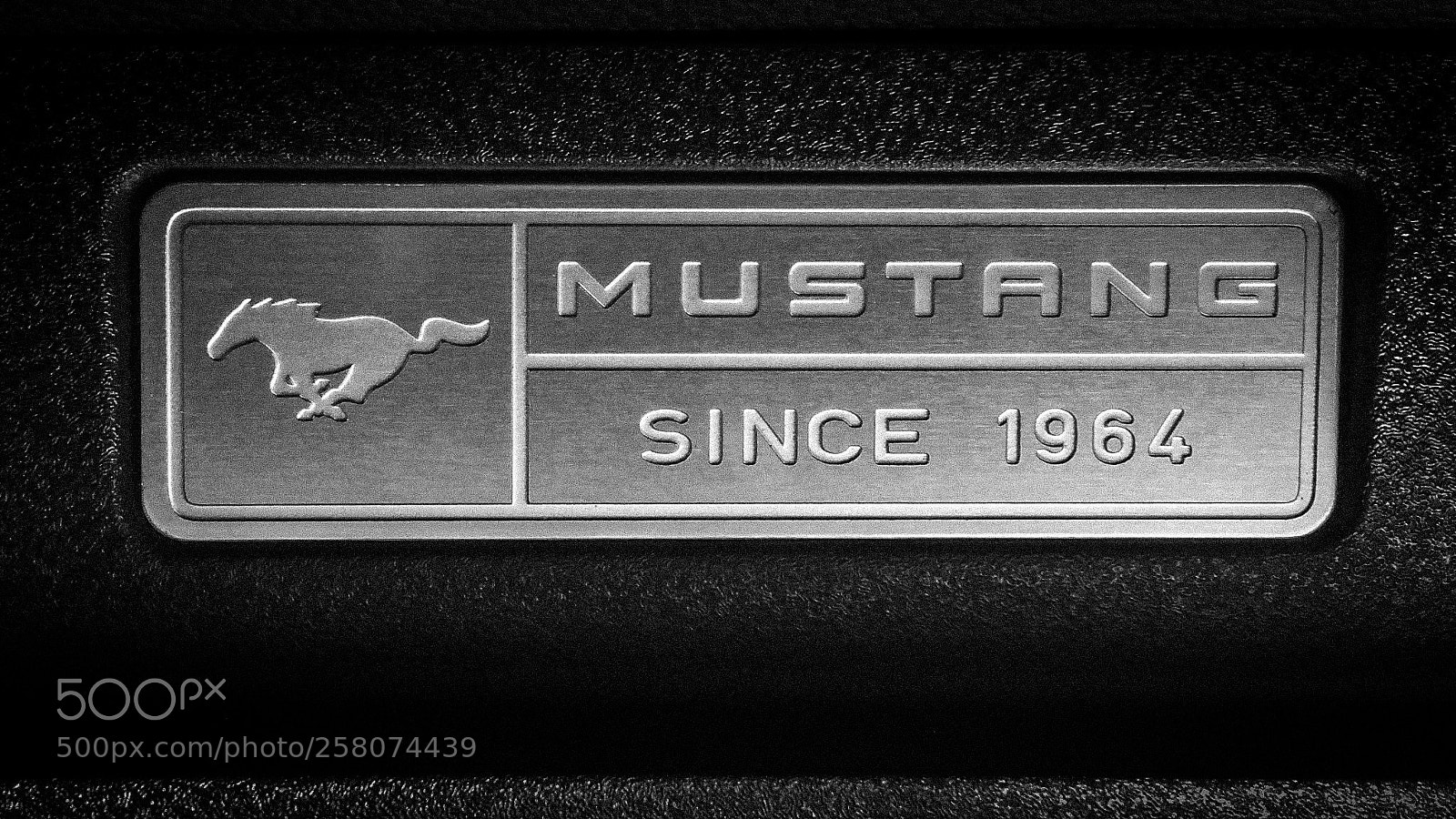 LG Nexus 5 sample photo. Mustang photography