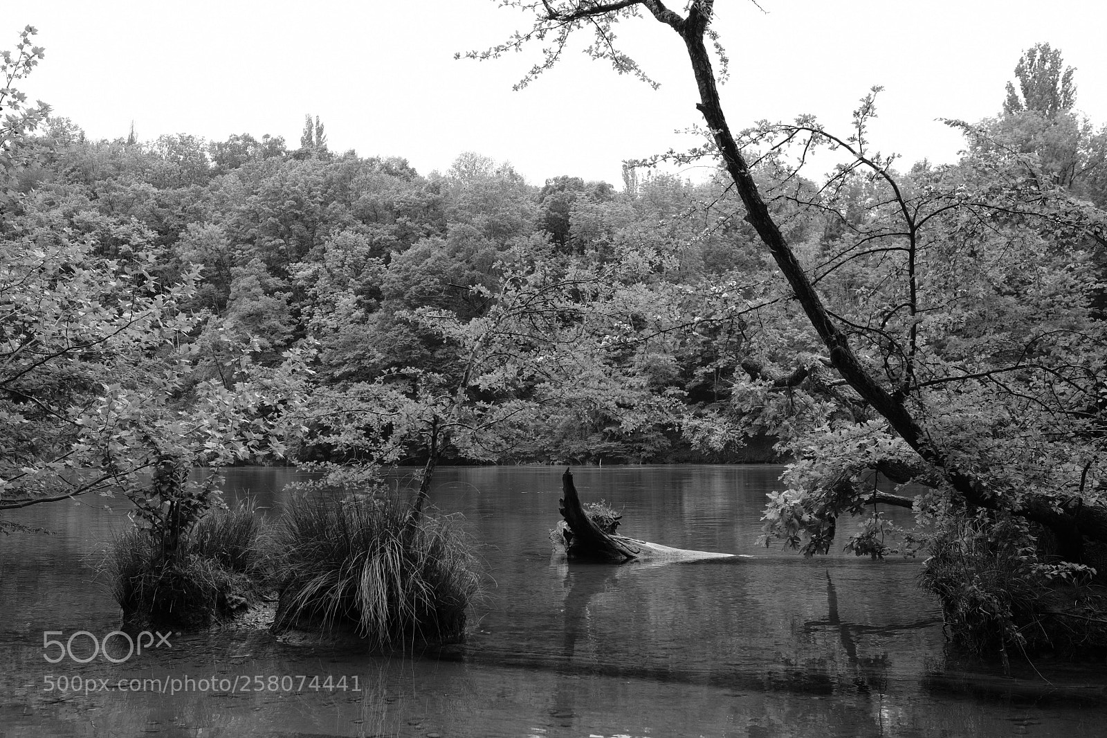 Fujifilm X-Pro2 sample photo. Rhône photography