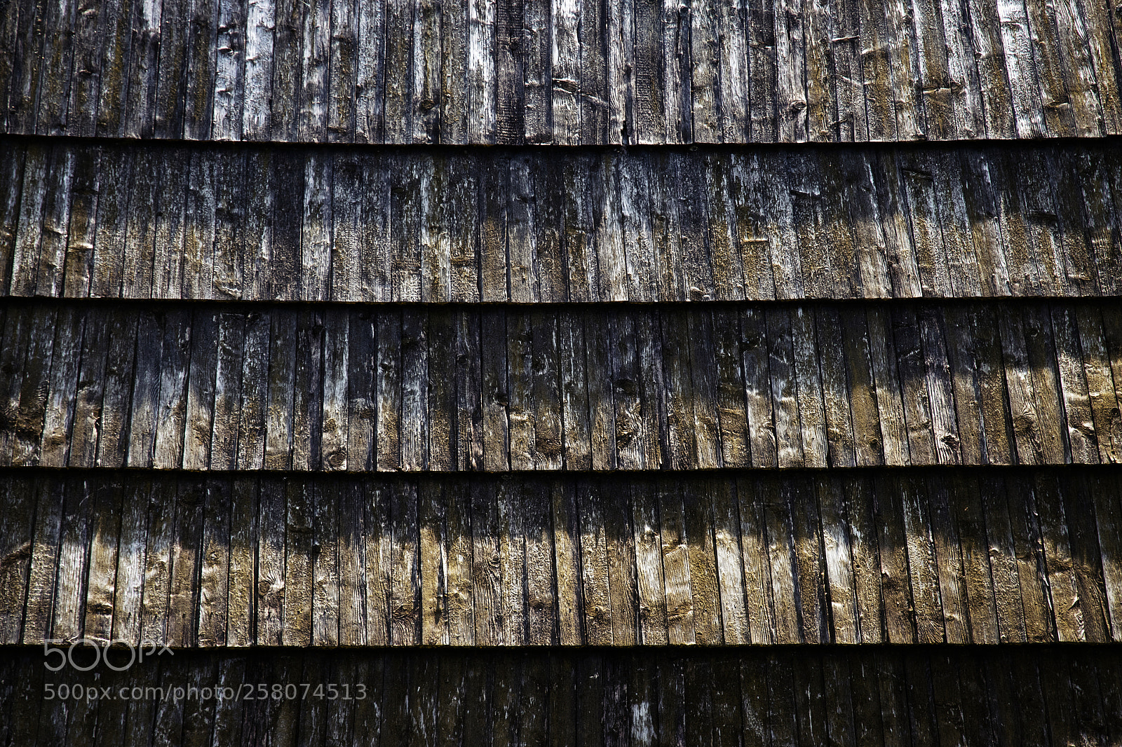 Nikon D5500 sample photo. Detail of the old photography