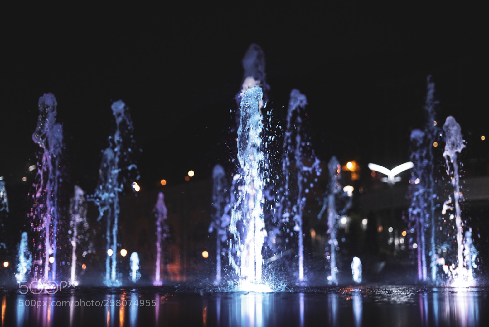 Sony a7R II sample photo. Untitled photography