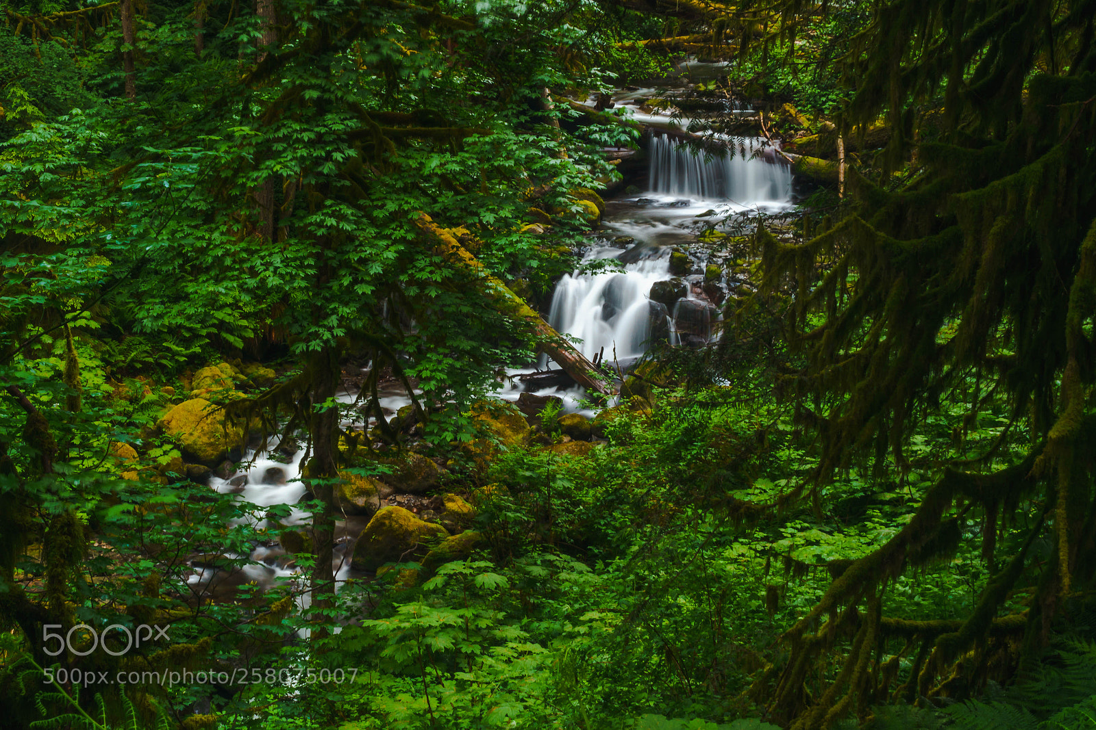 Sony a7R II sample photo. Falling water photography