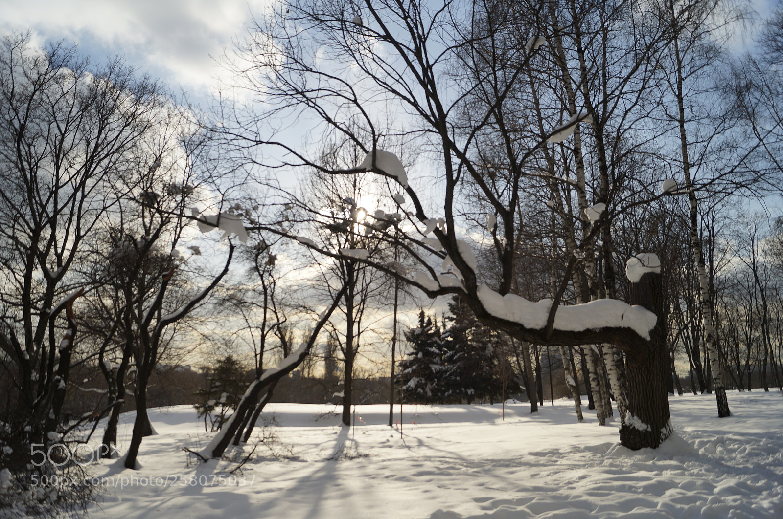 Sony SLT-A57 sample photo. Untitled photography