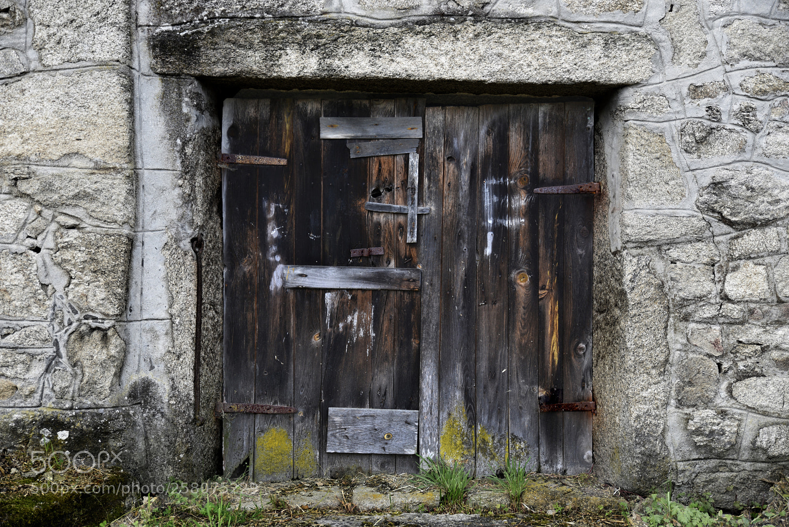 Nikon D750 sample photo. Portal photography