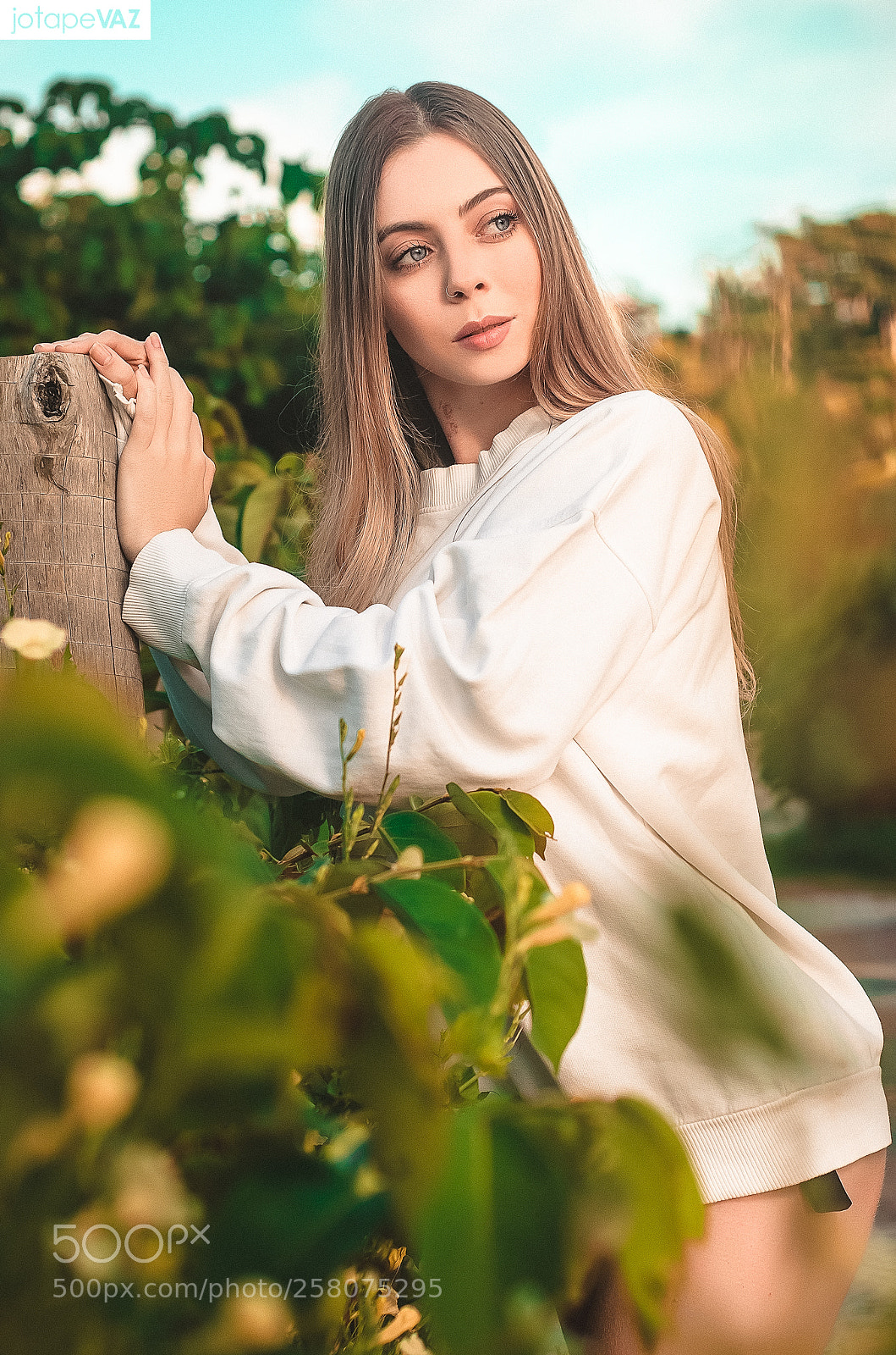Nikon D7000 sample photo. Carol salles photography