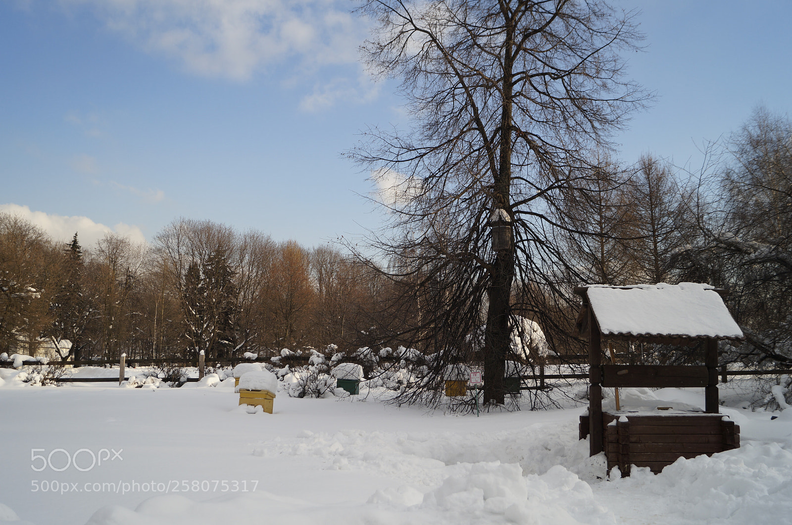 Sony SLT-A57 sample photo. Untitled photography