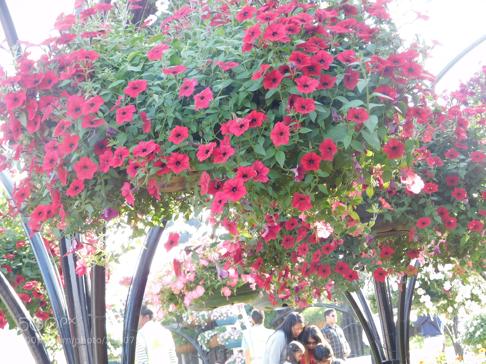 Nikon Coolpix B500 sample photo. Untitled photography