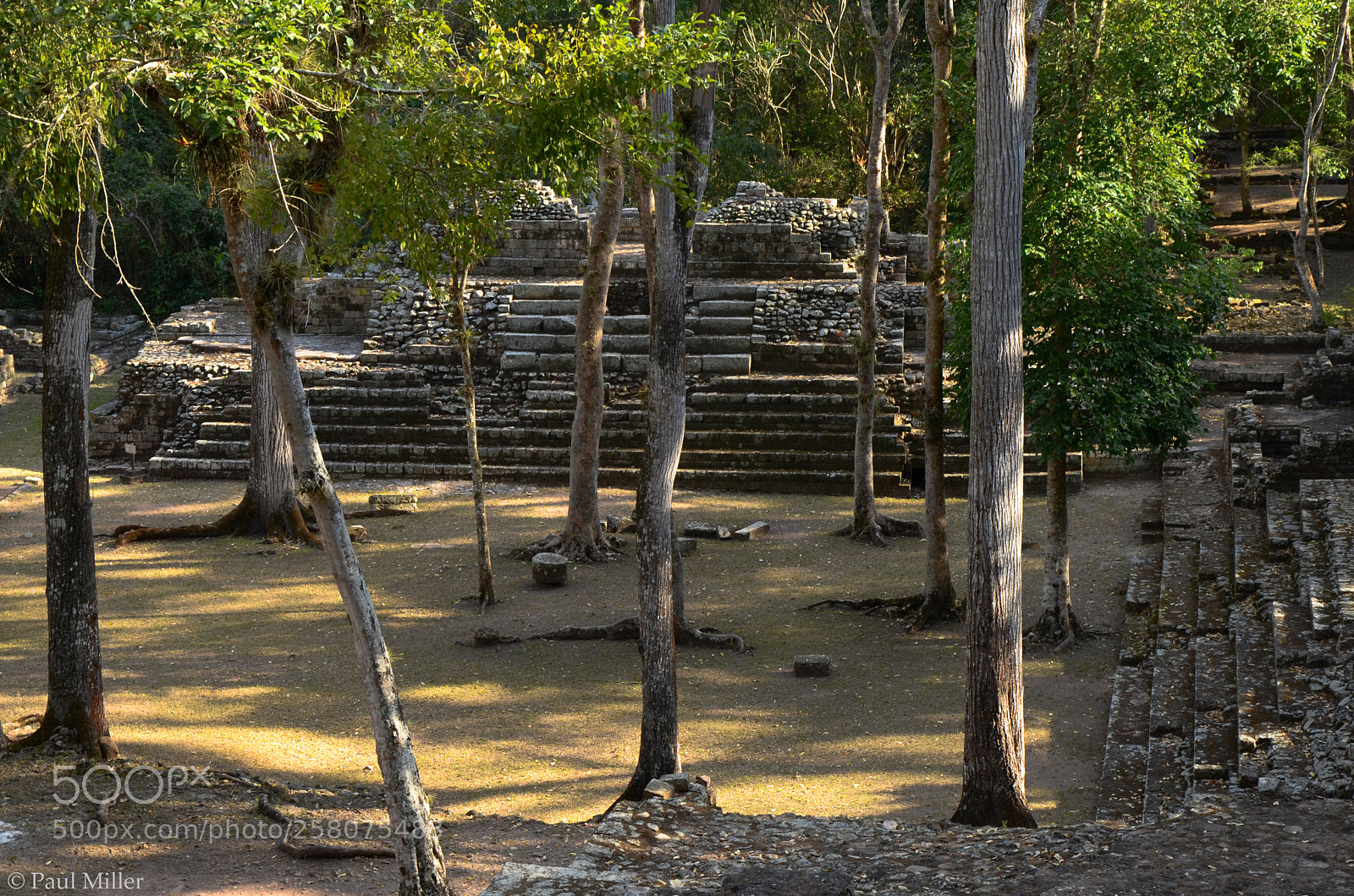 Nikon D7000 sample photo. Copan i photography