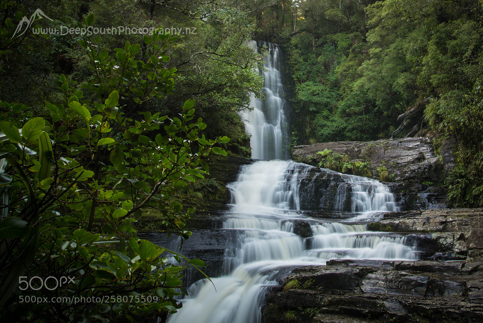 Nikon D610 sample photo. Mclean falls photography
