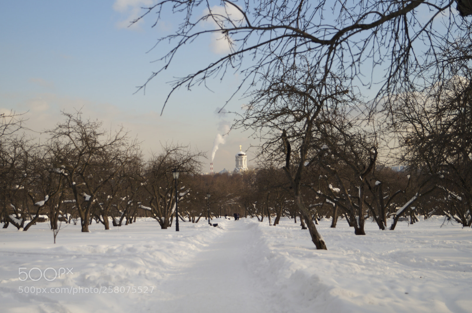 Sony SLT-A57 sample photo. Untitled photography