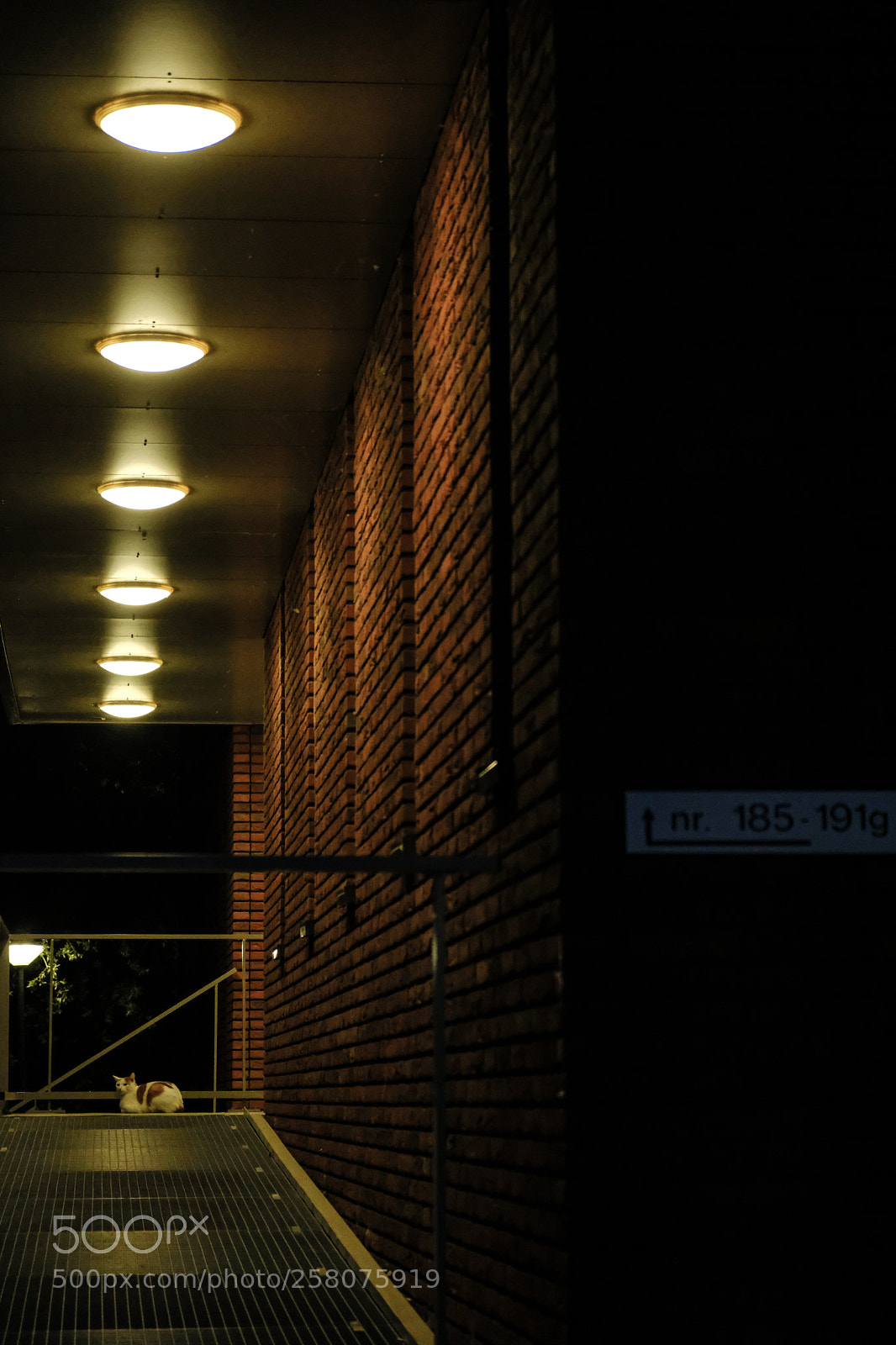 Fujifilm X-H1 sample photo. A night out photography