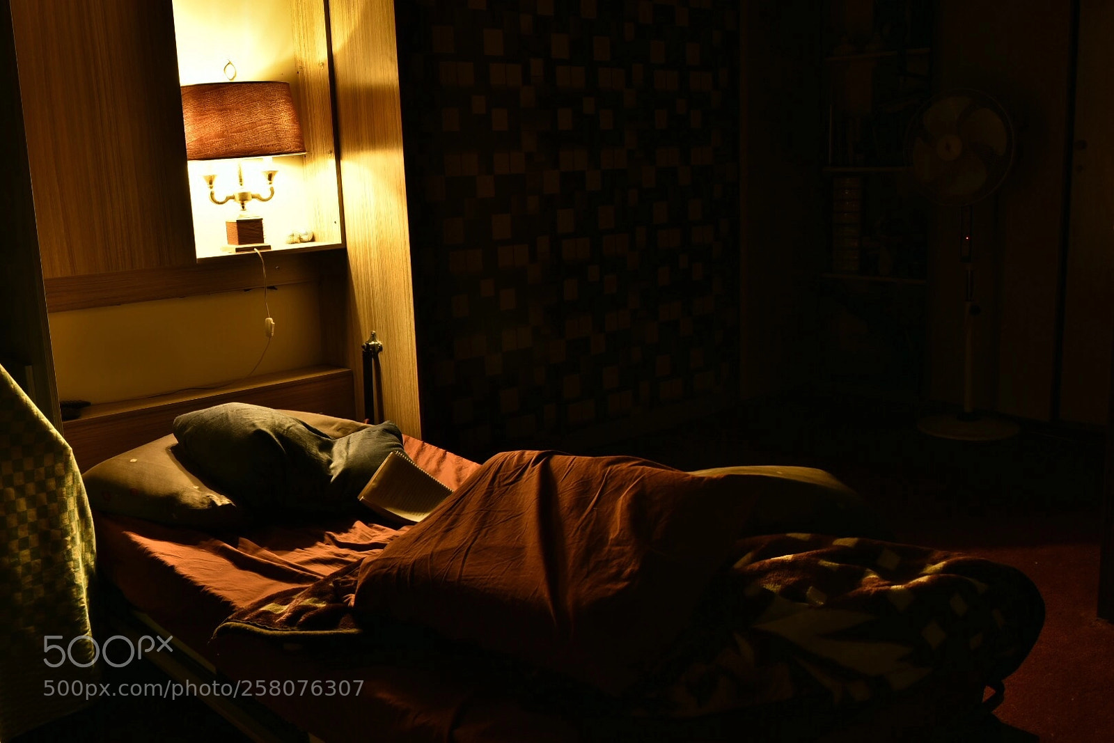 Nikon D750 sample photo. The bed of master photography