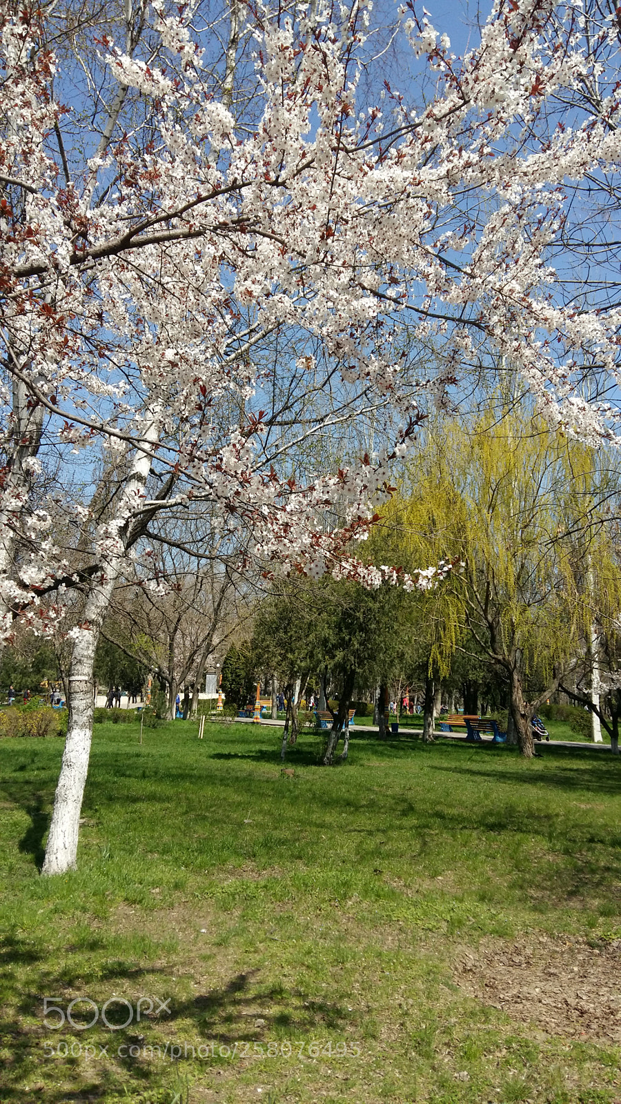 Samsung Galaxy A5 sample photo. Blue blue sky photography