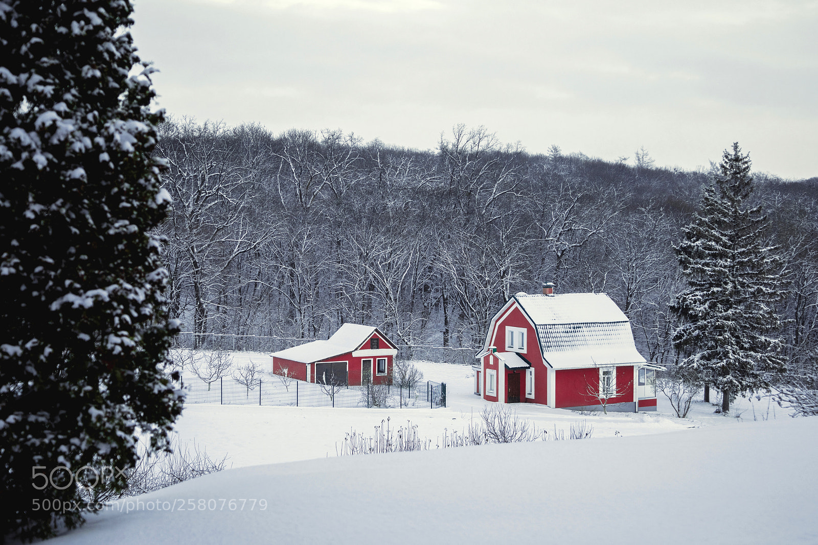 Canon EOS 5D Mark IV sample photo. Red house photography