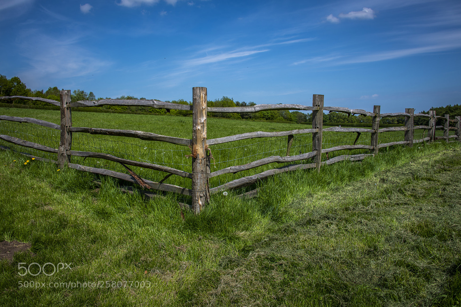 Nikon D850 sample photo. Fence photography
