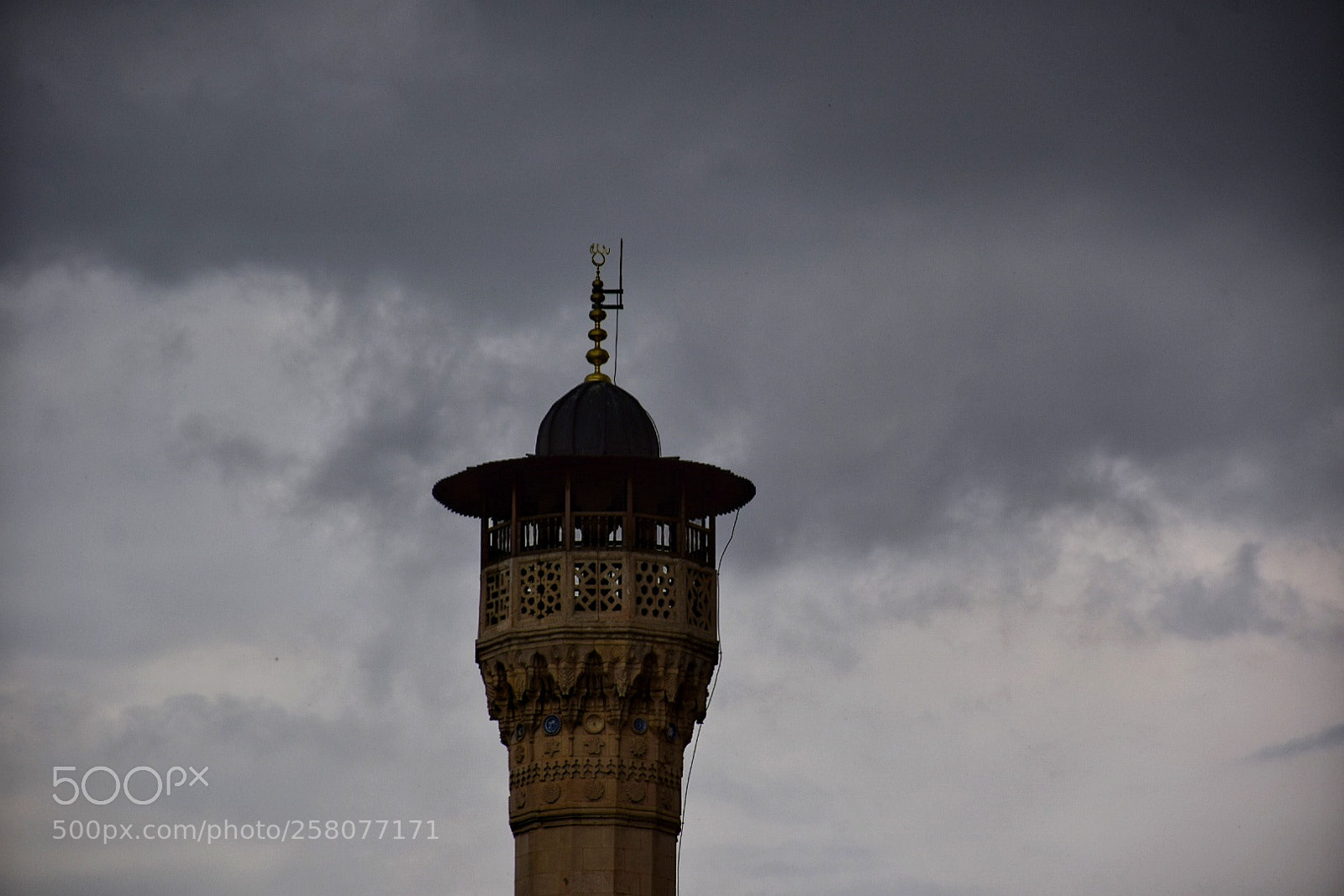 Nikon D5300 sample photo. Untitled photography