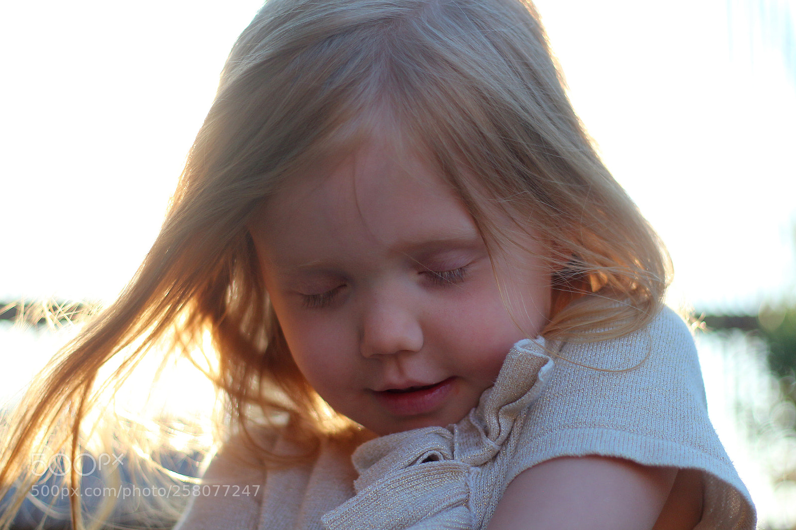 Canon EOS 650D (EOS Rebel T4i / EOS Kiss X6i) sample photo. Early morning sun photography
