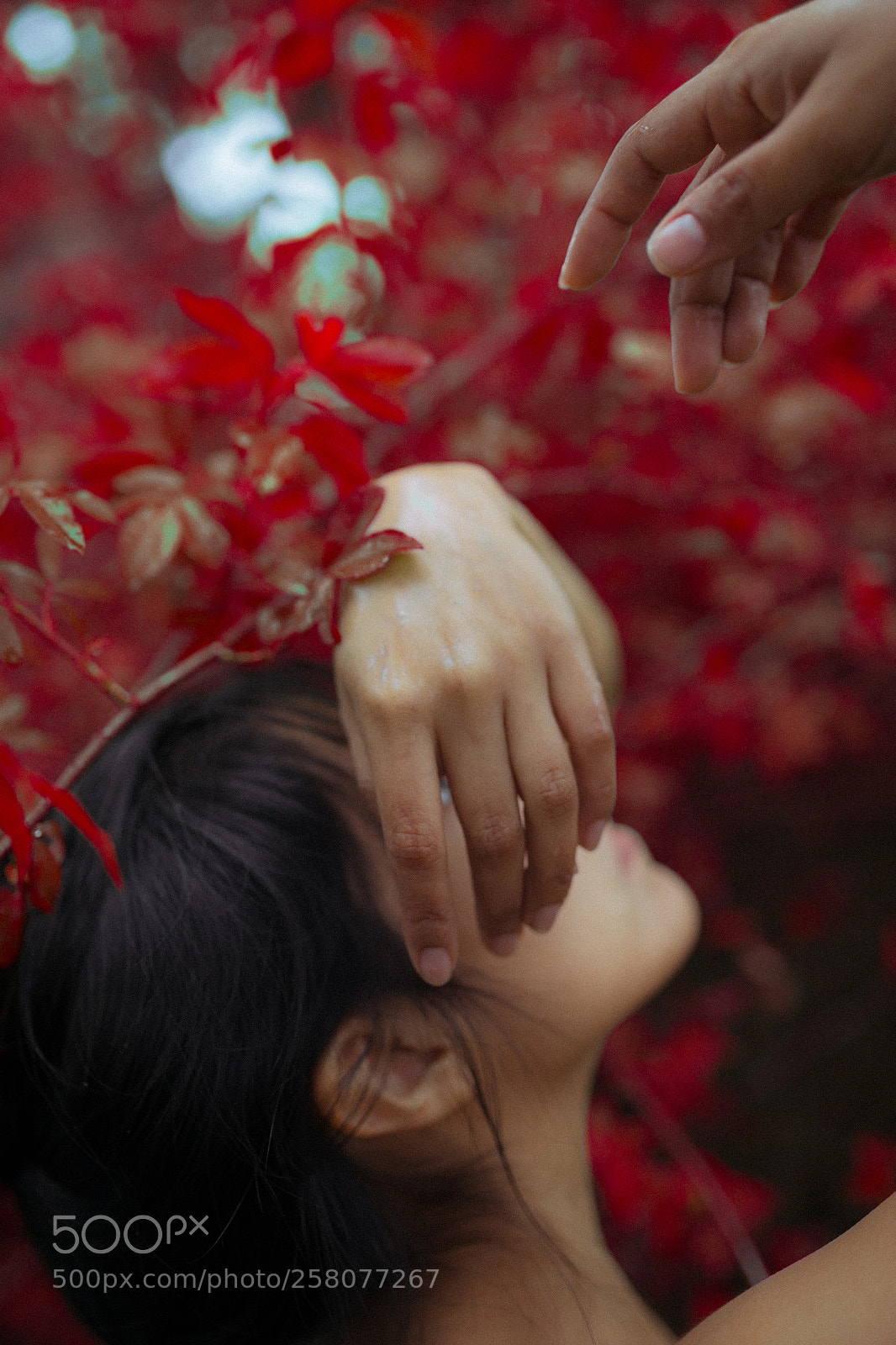 Canon EOS 6D sample photo. Mila photography