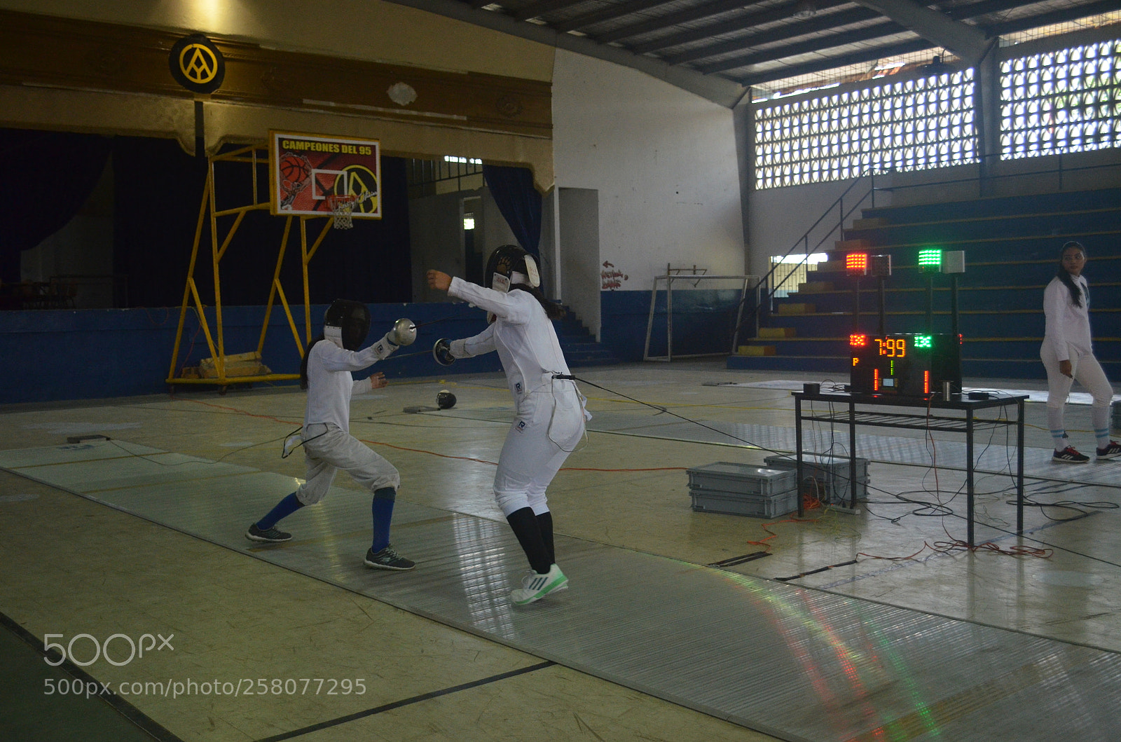 Nikon D5100 sample photo. Fencing photography