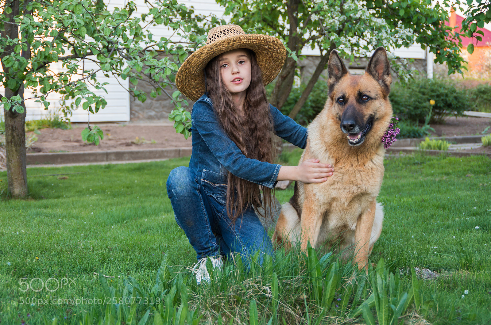 Pentax K-30 sample photo. Devoted friend photography