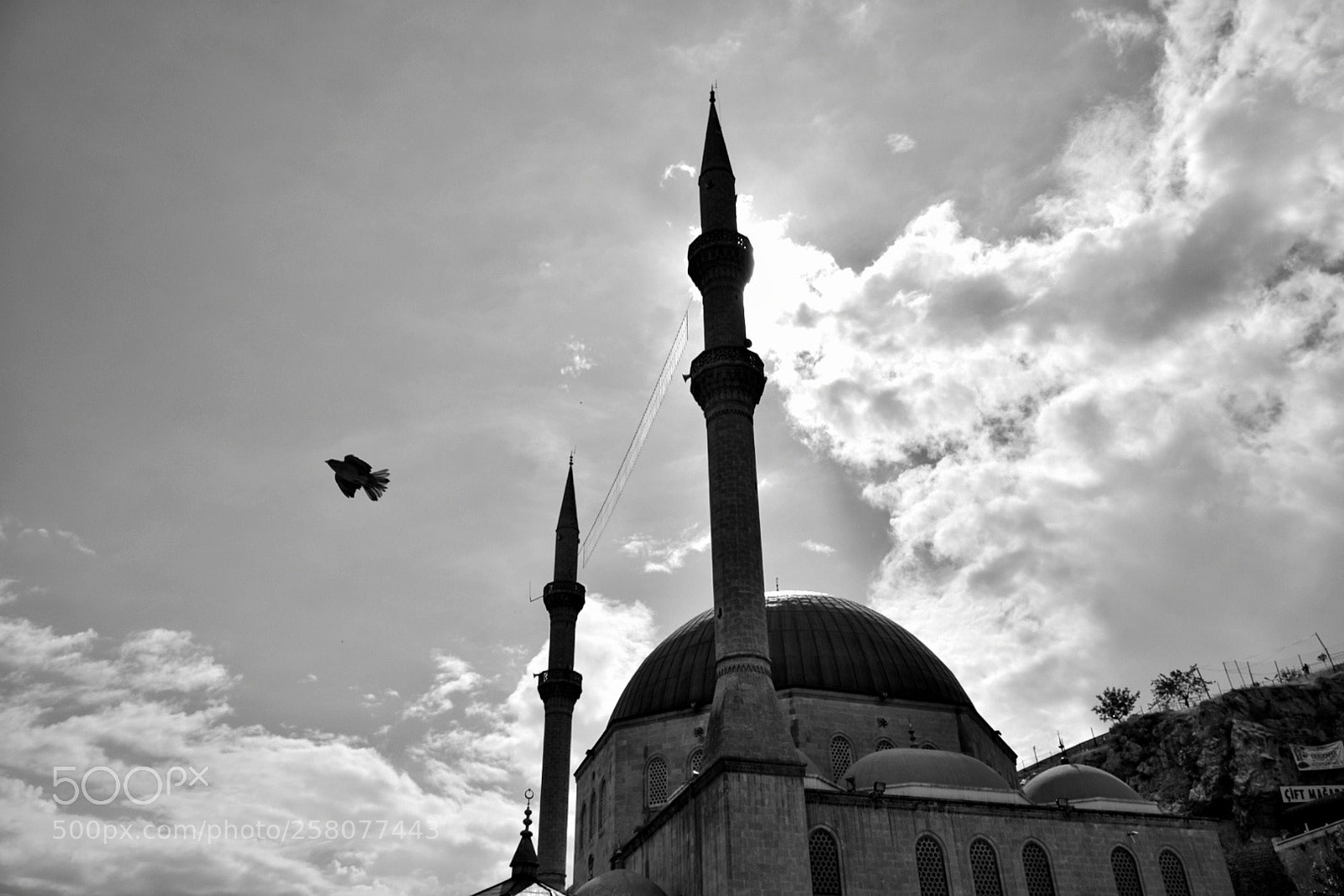 Nikon D5300 sample photo. Untitled photography