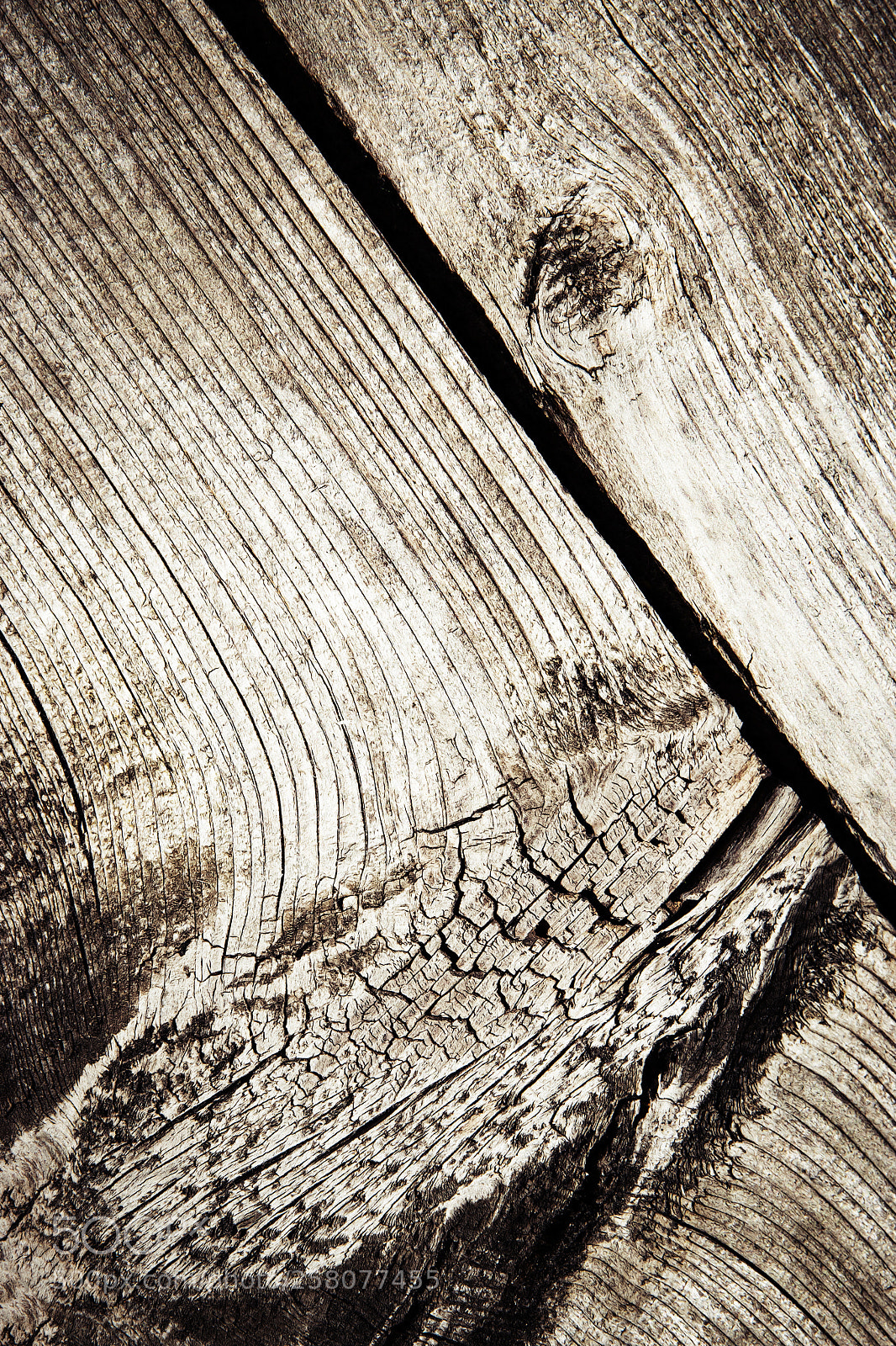 Nikon D5500 sample photo. Detail of an old photography