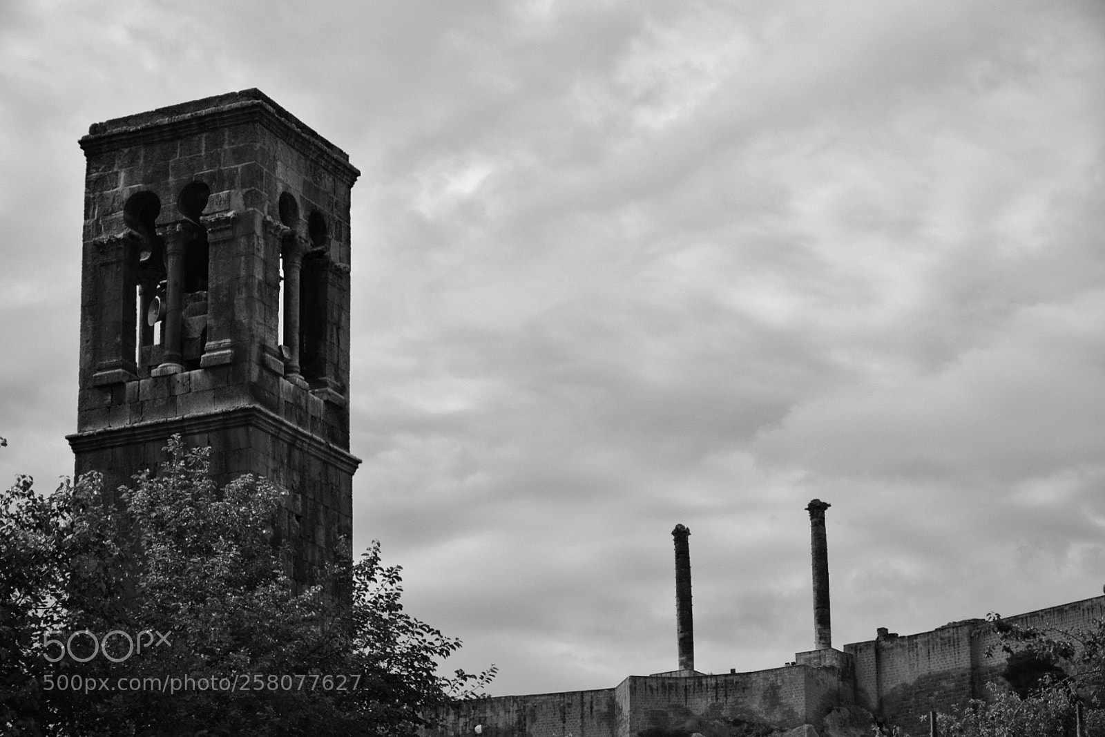 Nikon D5300 sample photo. Untitled photography