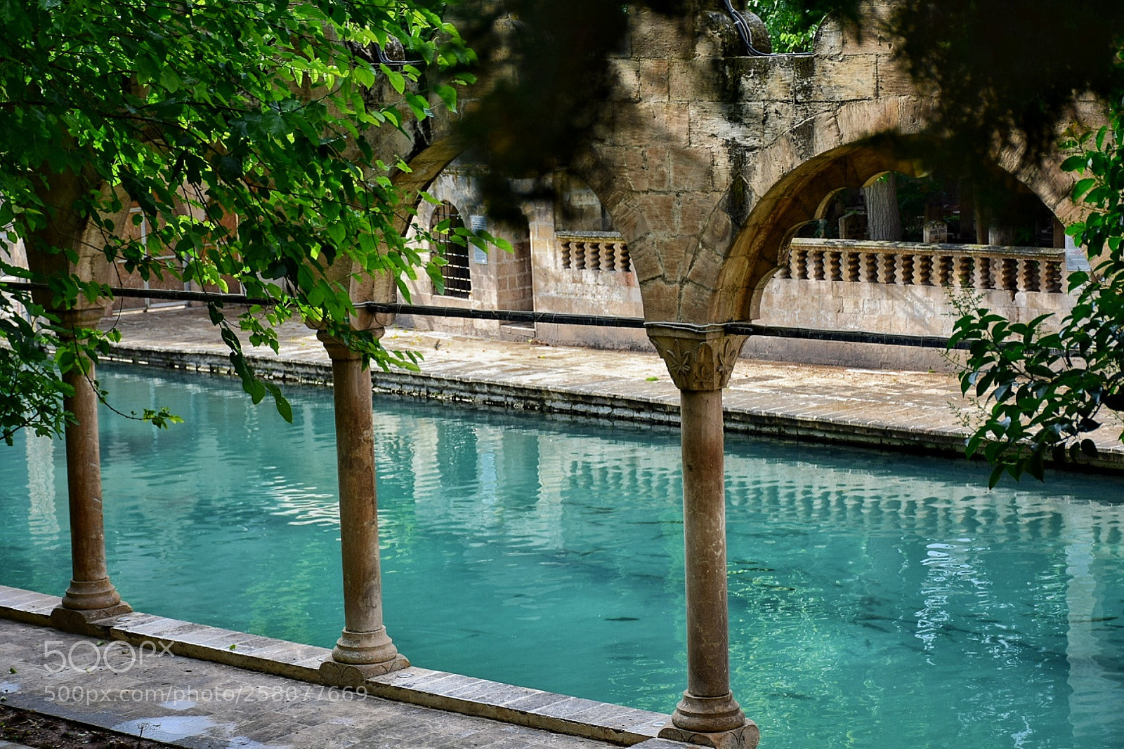 Nikon D5300 sample photo. Untitled photography