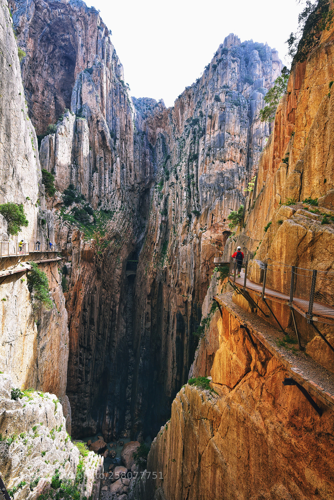 Nikon D750 sample photo. Caminito del rey photography