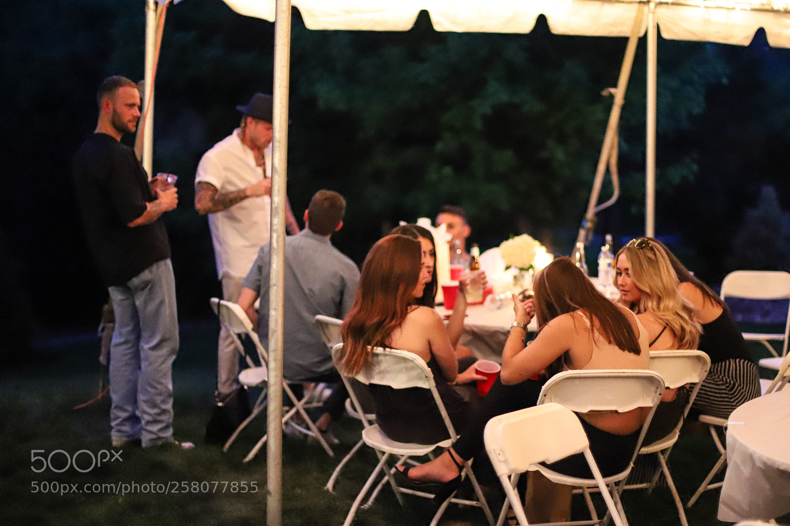 Canon EOS 6D Mark II sample photo. Img photography