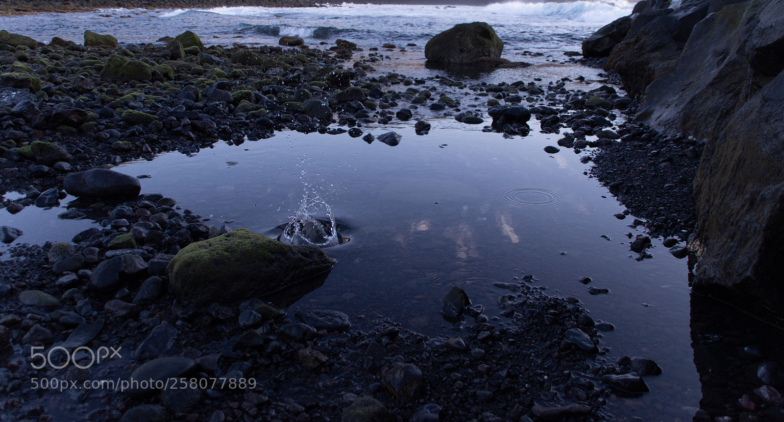 Nikon D3100 sample photo. Ploff photography