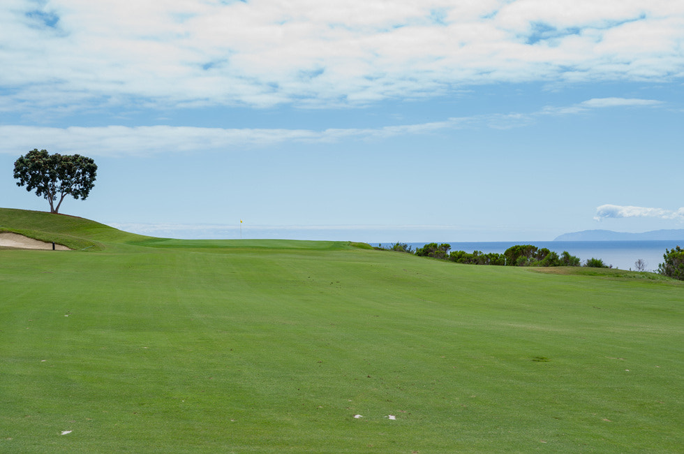 Leica S (TYP 007) sample photo. Golf second shot photography