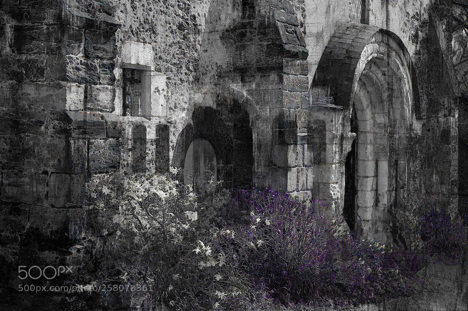 Nikon D300 sample photo. The time of renunciation photography
