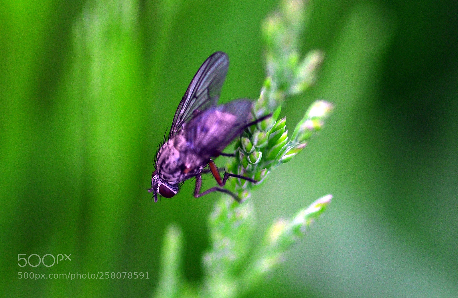 Nikon D90 sample photo. I believe i can photography